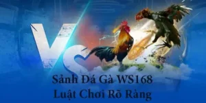 Hấp Dẫn Cách Chơi Đá Gà WS168 Tại J88 Trong Năm 2025