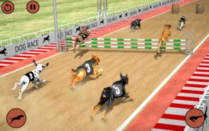 Cách Chơi Game Nhanh Đua Chó Tại J88 Thành Công
